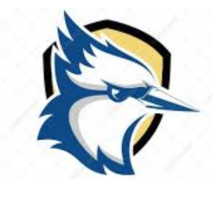 logo jay security